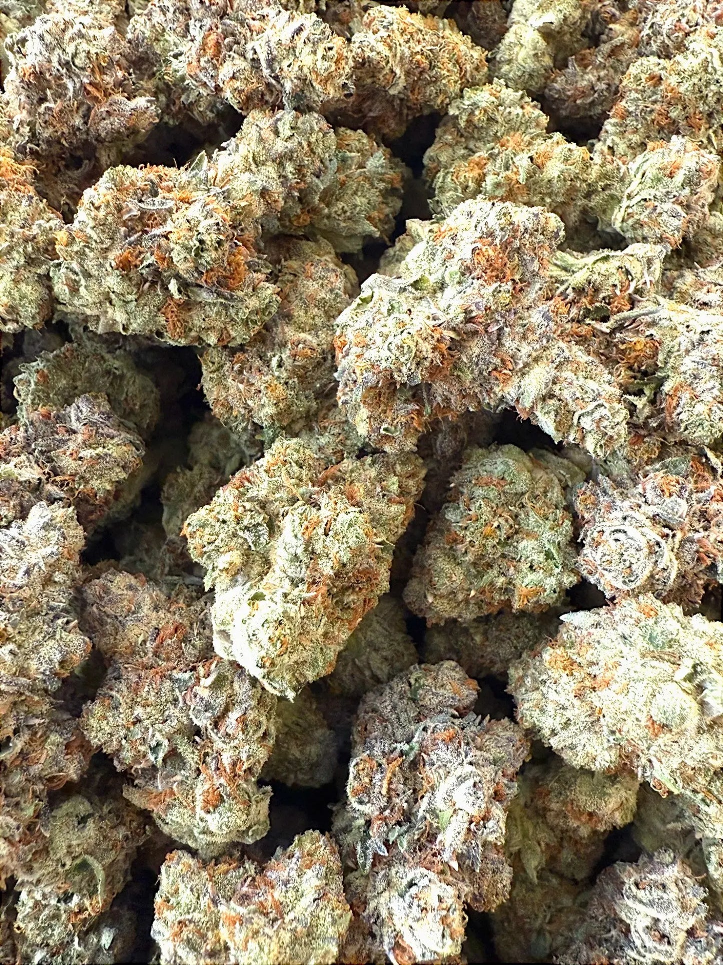 AAA Indoor Exotic - Lemon Cherry Gelato THCA Strain