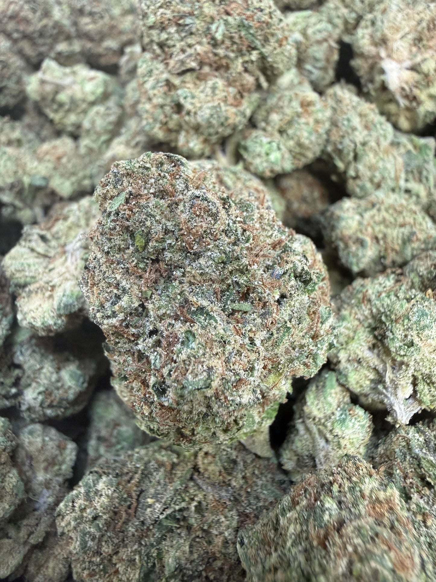 1 Pound - Sharkalato Runtz THCA Flower