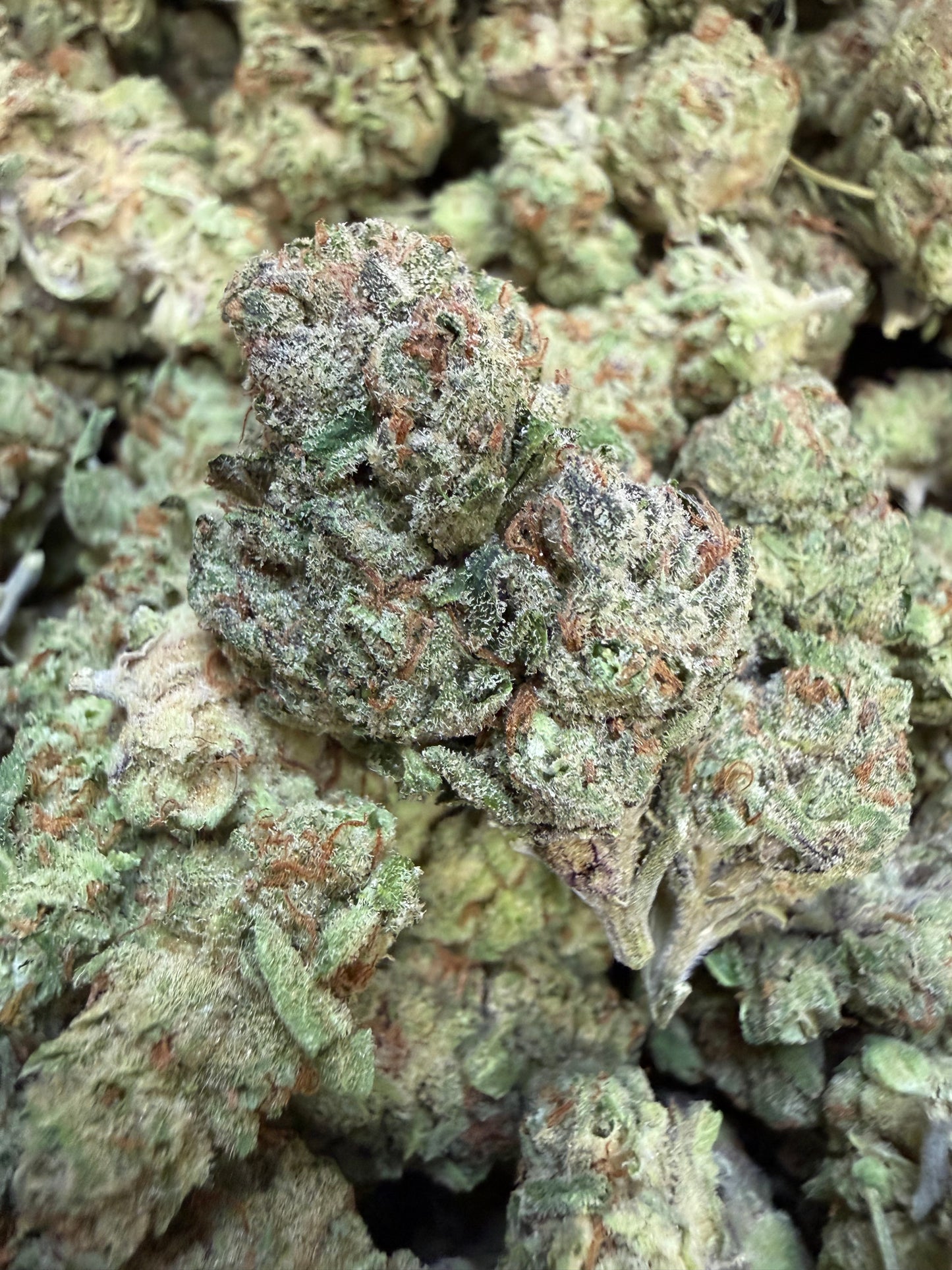 1 Pound - AK-49 THCA Flower
