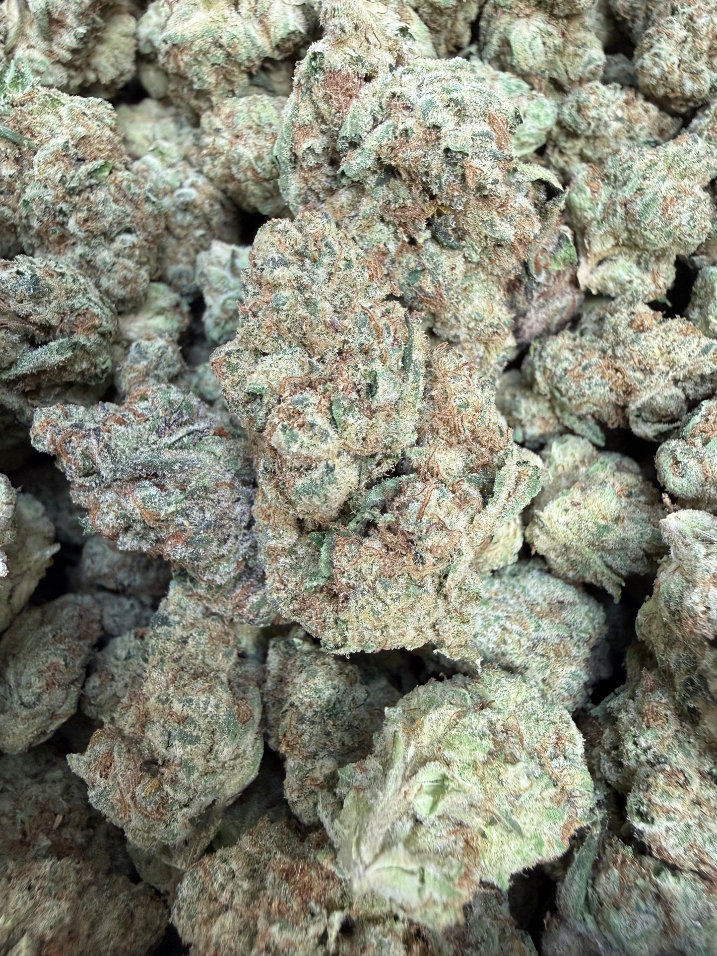 1 Pound - Disco Glitter THCA Flower