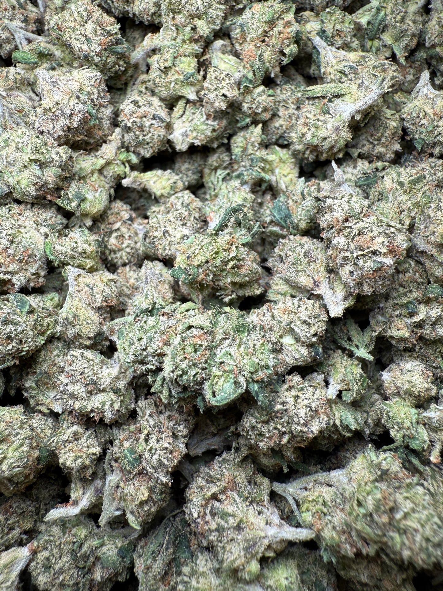 1 Pound - AAA LuLu Small FL Fulfillment Center