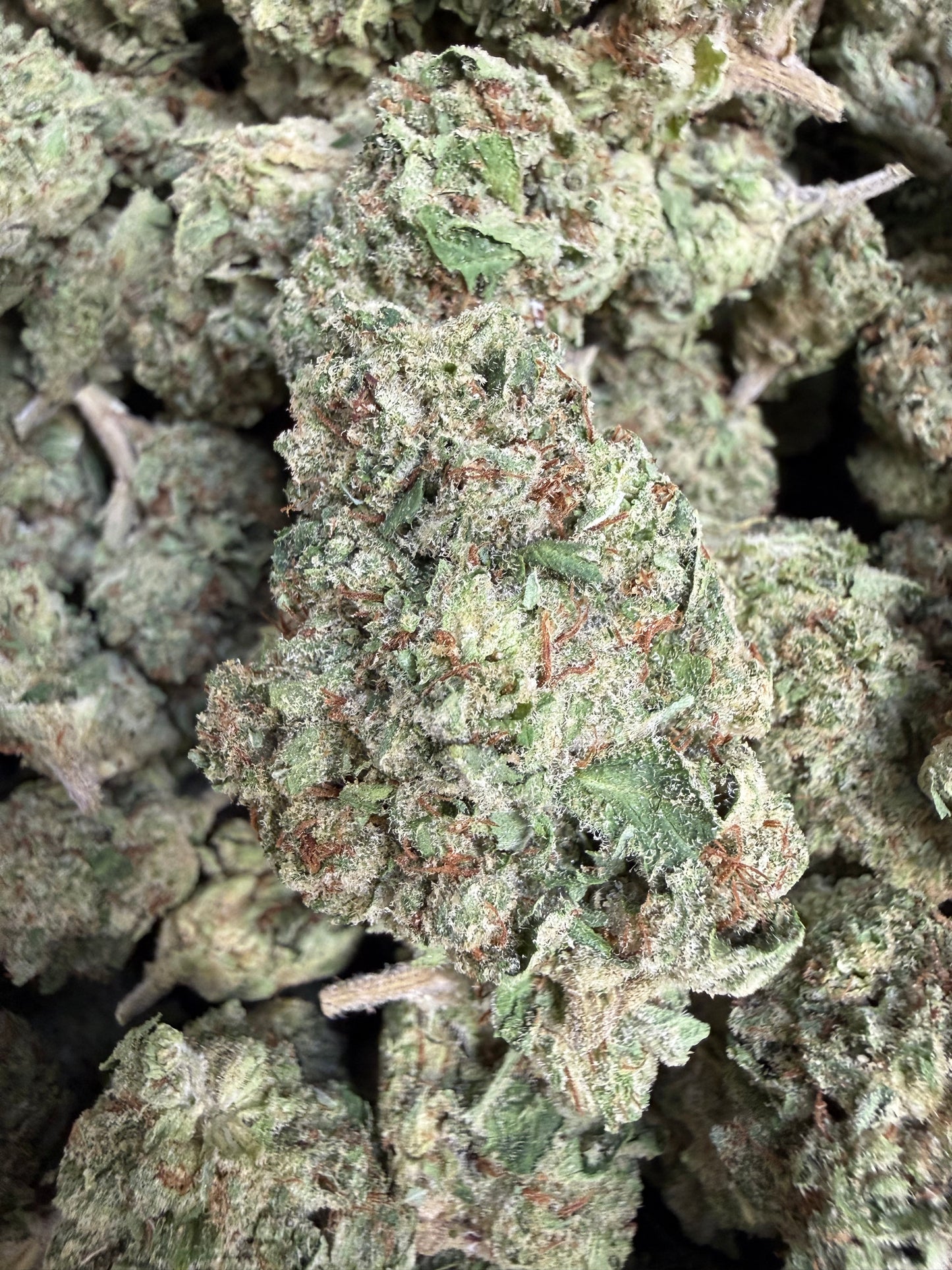 1 Pound - Afghan Lemon OG THCA Flower
