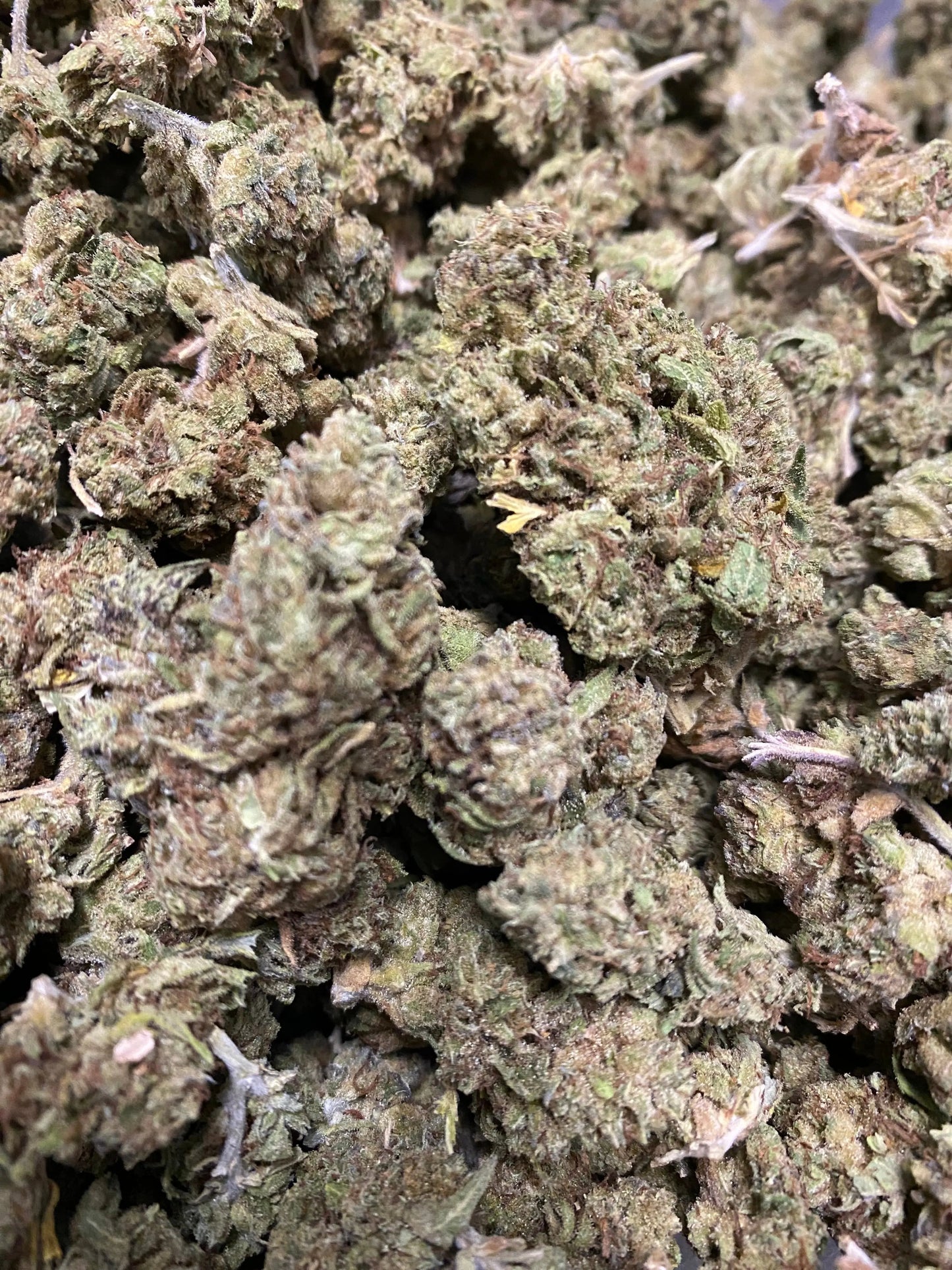 Gushers THCA - Frisco Labs