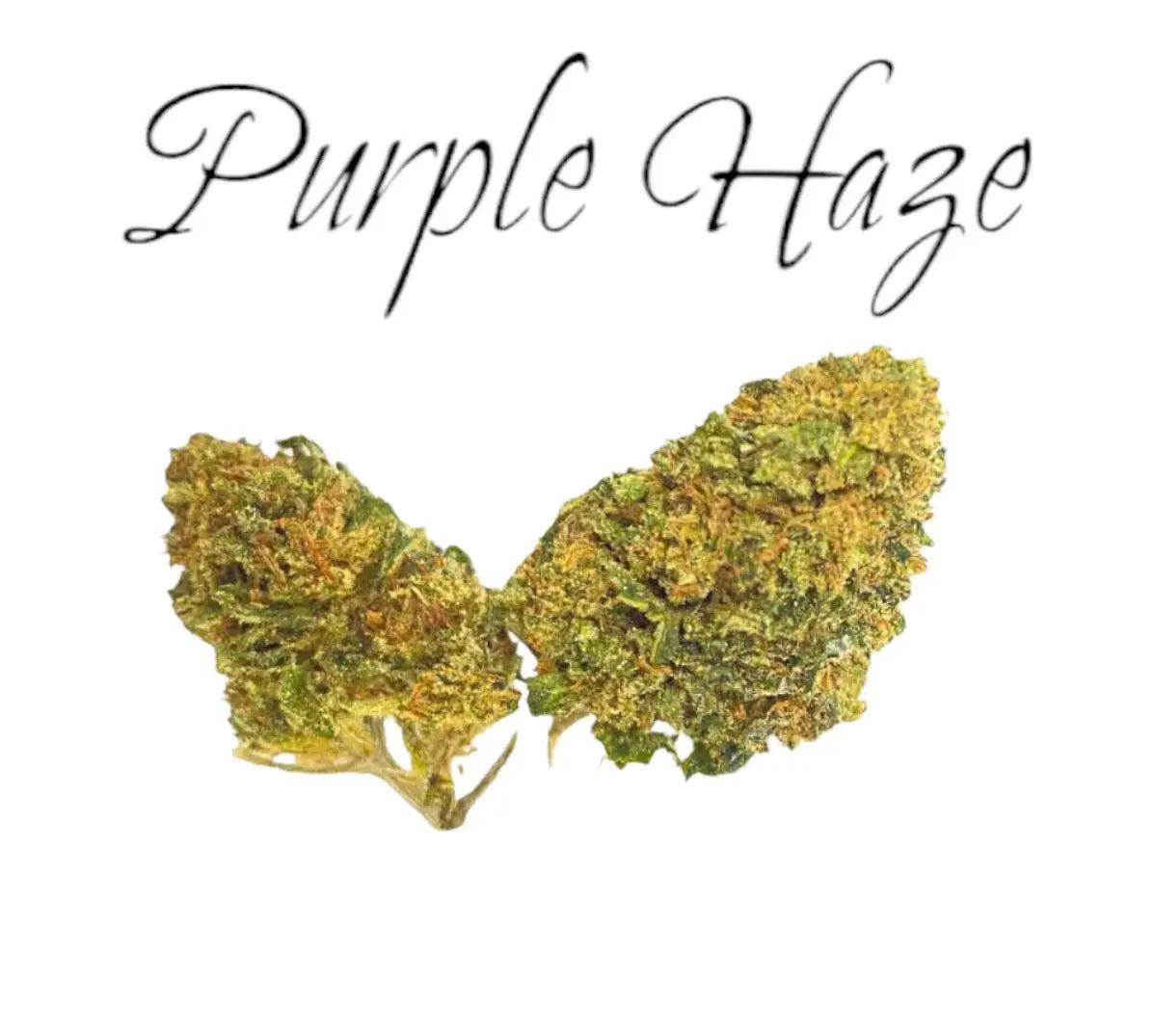 Purple Haze - Frisco Labs