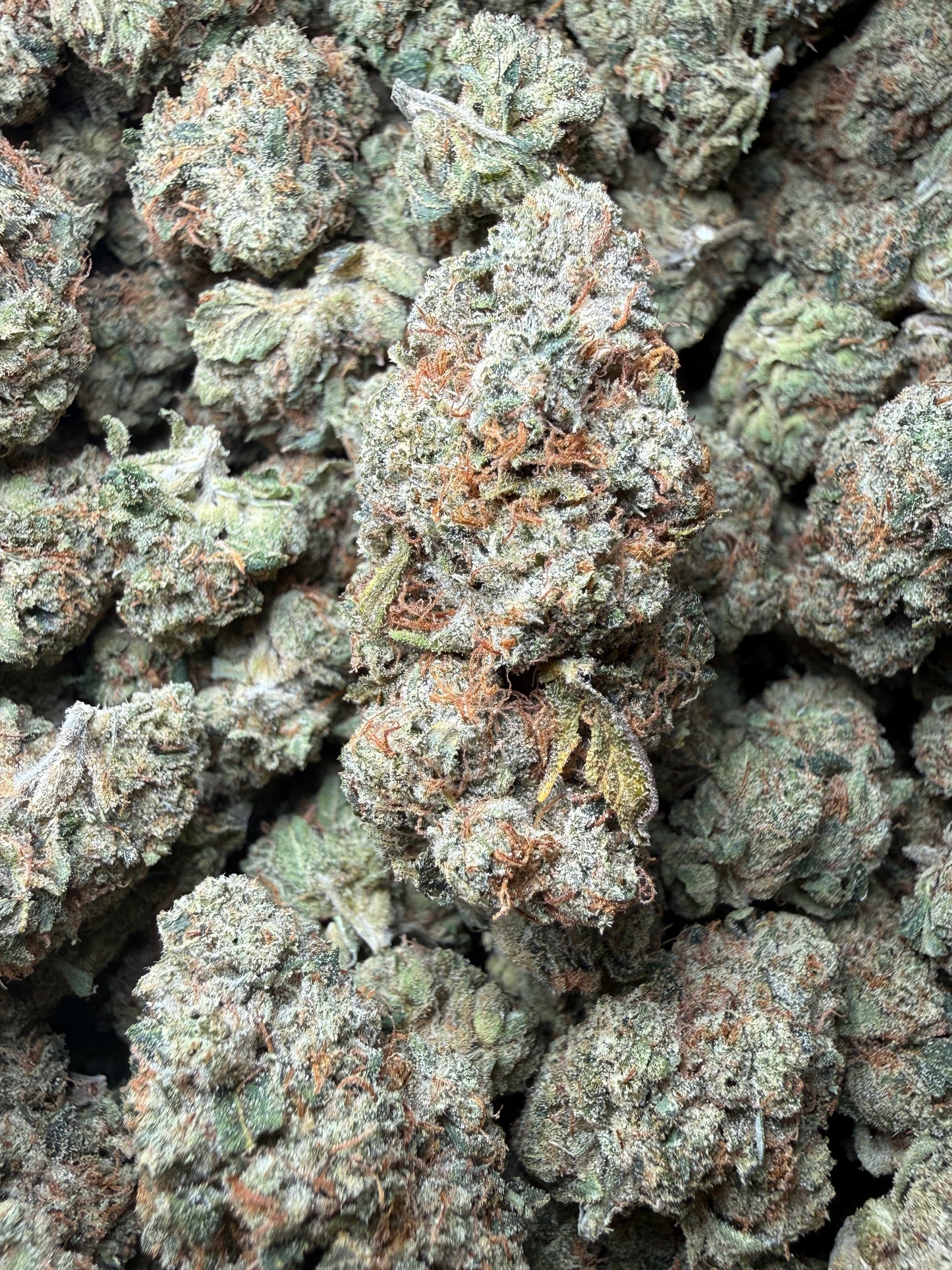 🔥 ⅛ oz – LA Confidential THCA (Indoor) FL Fulfillment Center