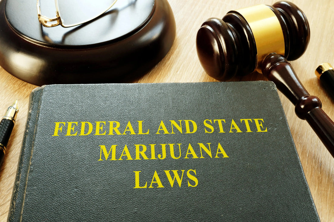 THCA Legality by State and Country: Complete Hemp Shipping Guide (2026) FriscoLabs.com