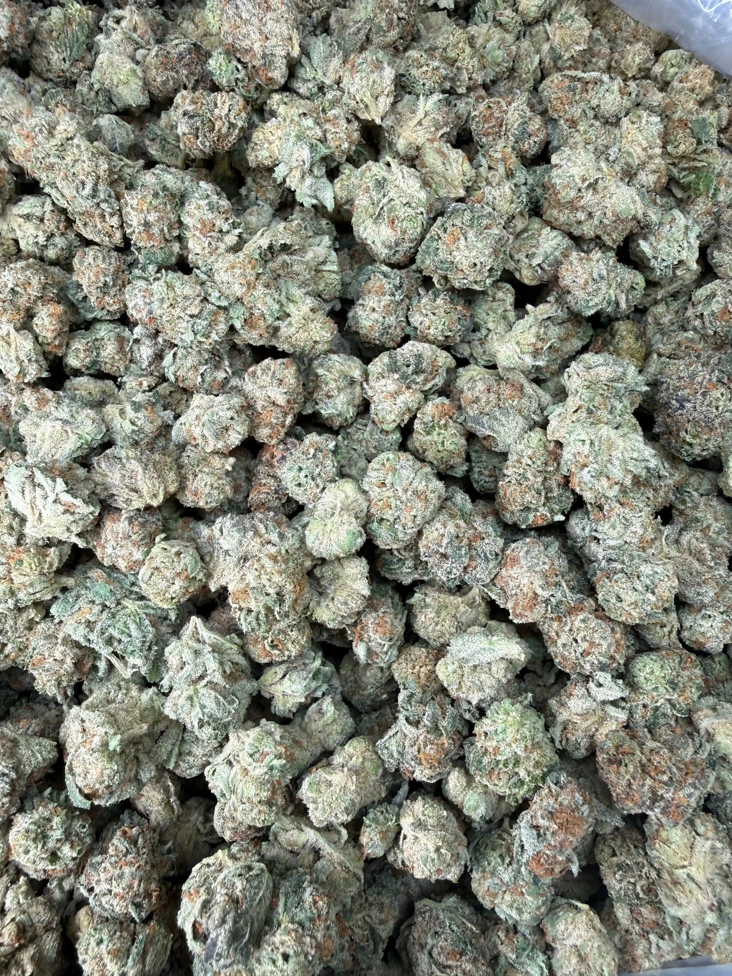 1-Pound-THCA-Smalls FriscoLabs.com