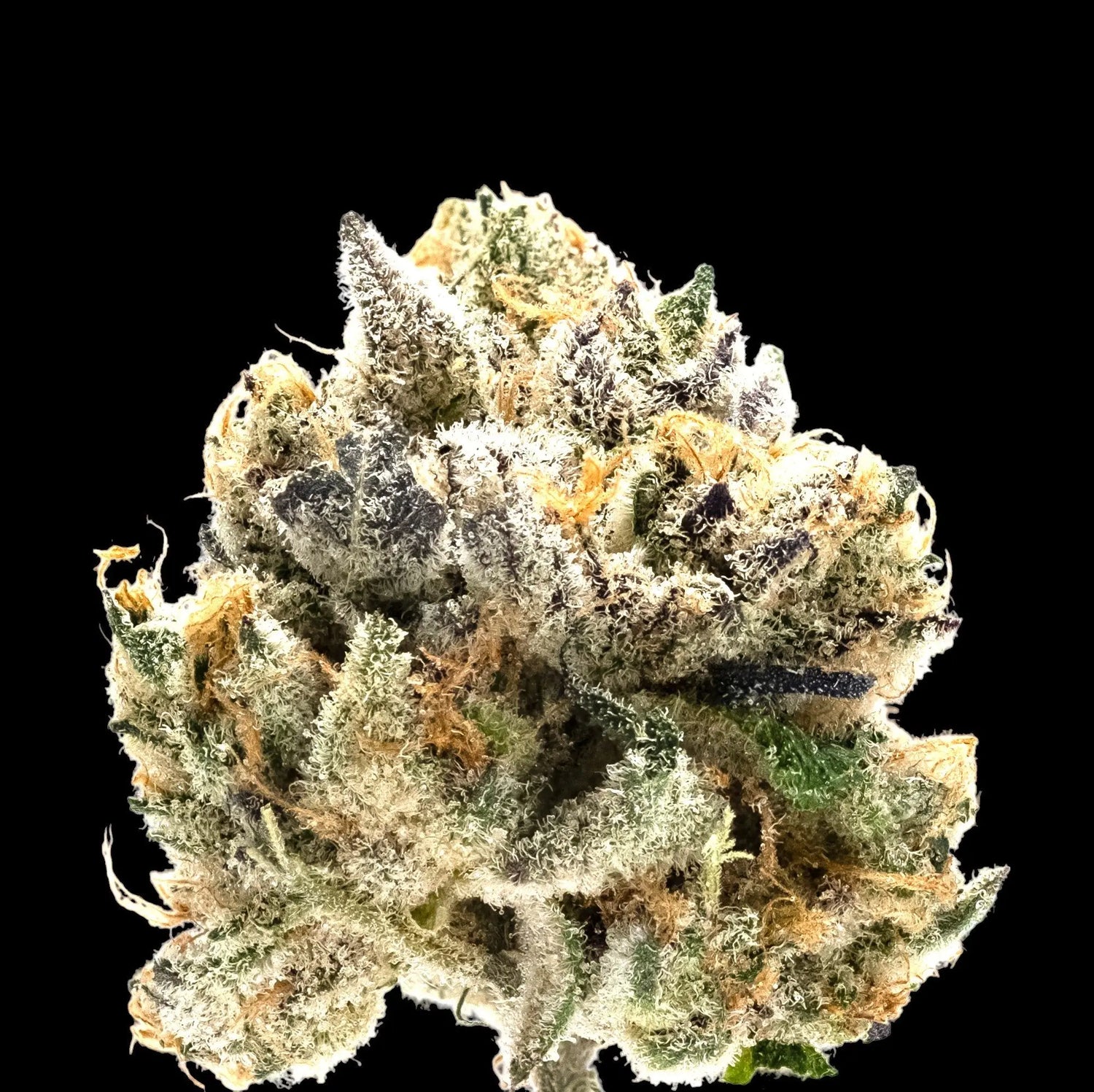 1-4-Pound-THCA-Flower Frisco Labs