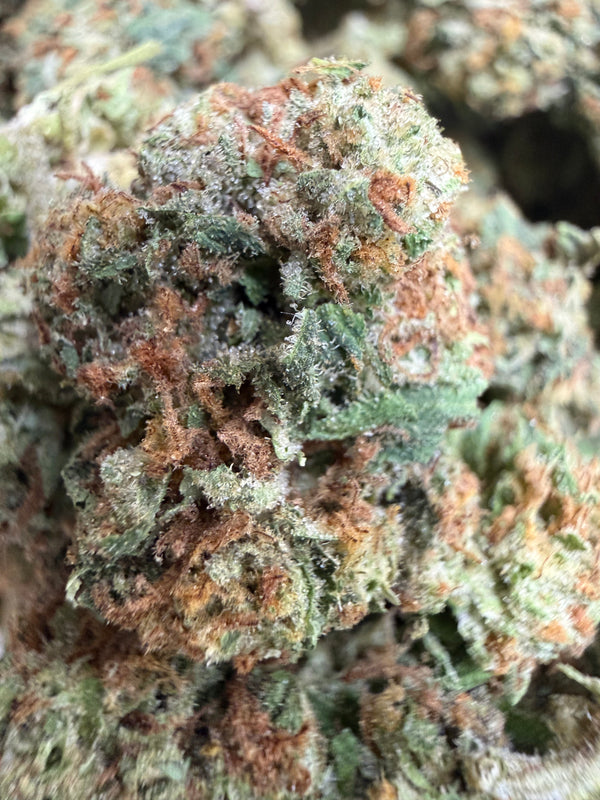 1 Pound - RAINBOW CANDY THCA Flower (SMALL)
