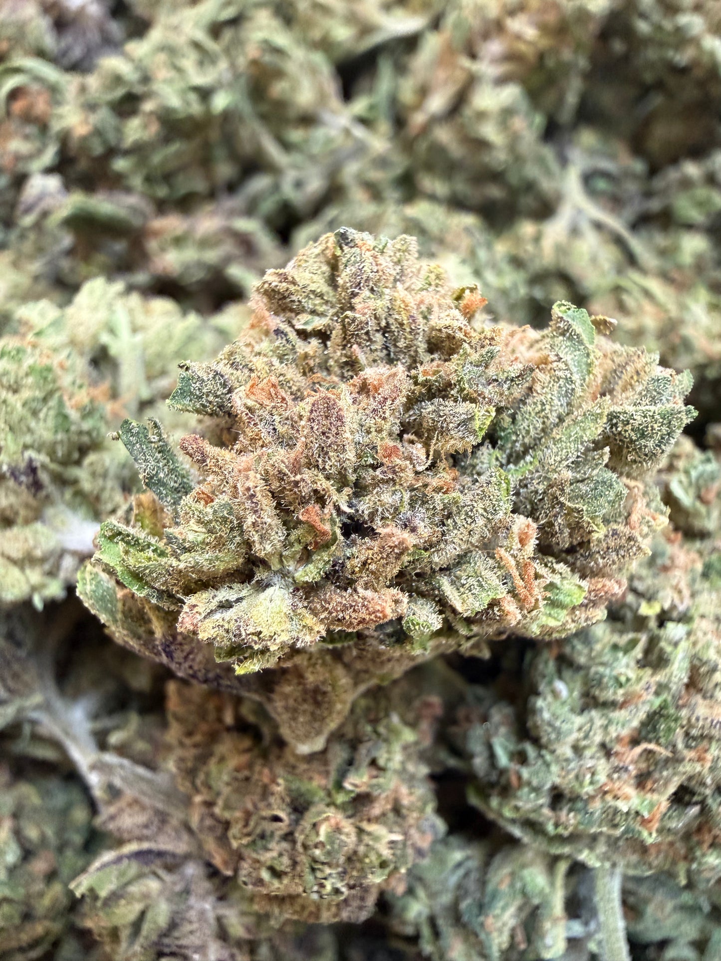 1 Pound - Cherry Lime Soda THCA Flower
