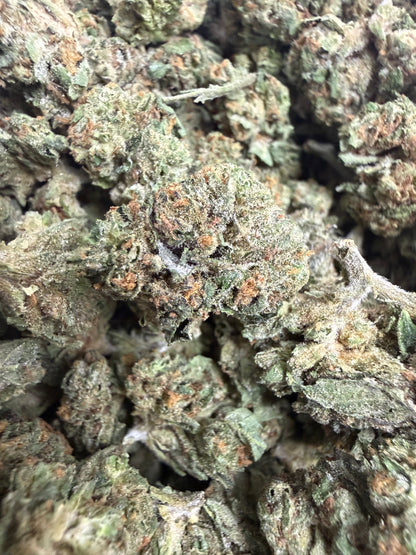 1 Pound - GELATO RUNTZ THCA Flower (SMALL)