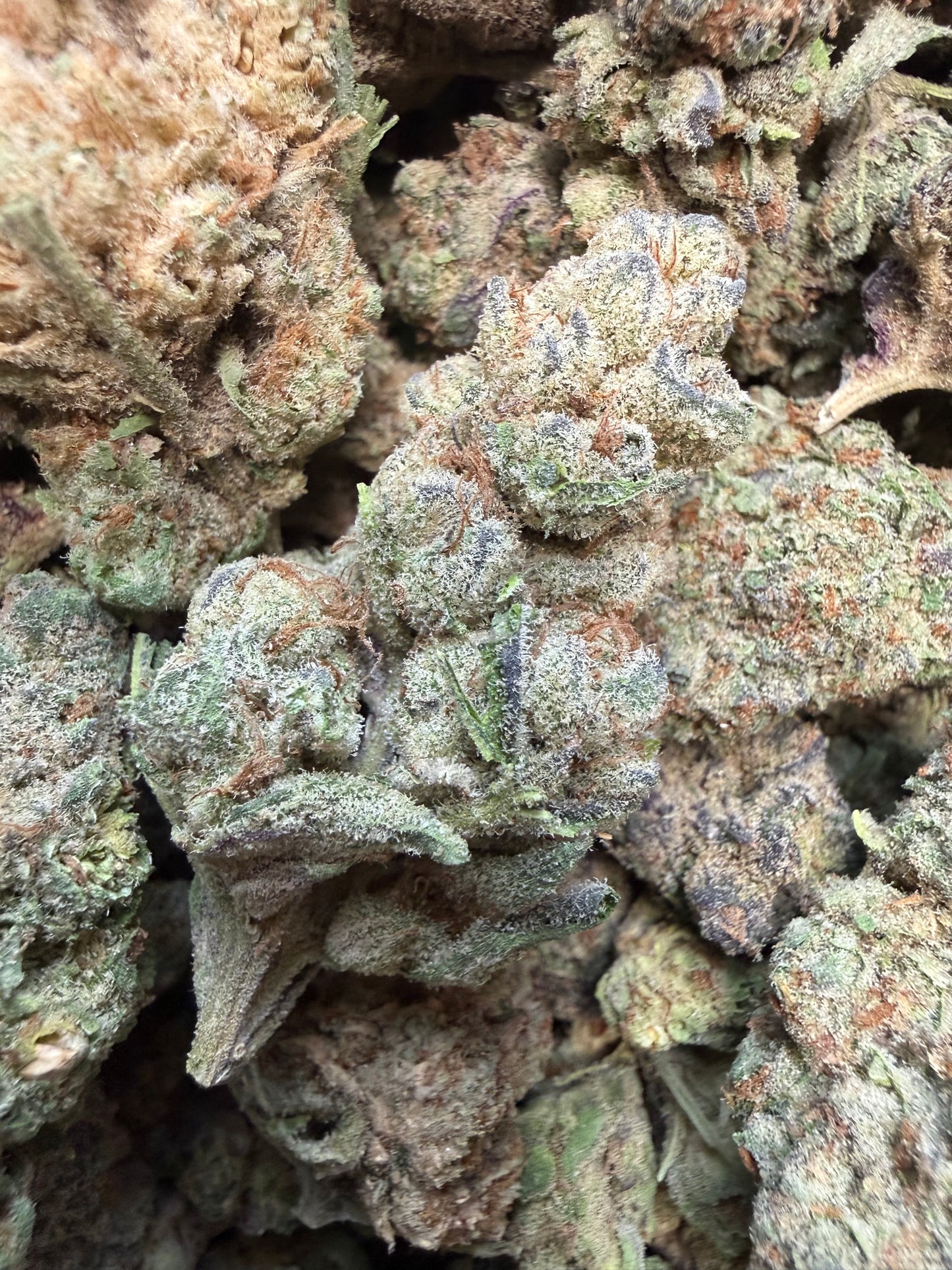 1 Pound - RS-11 THCA Flower (AAA Indoor Mixed Buds)