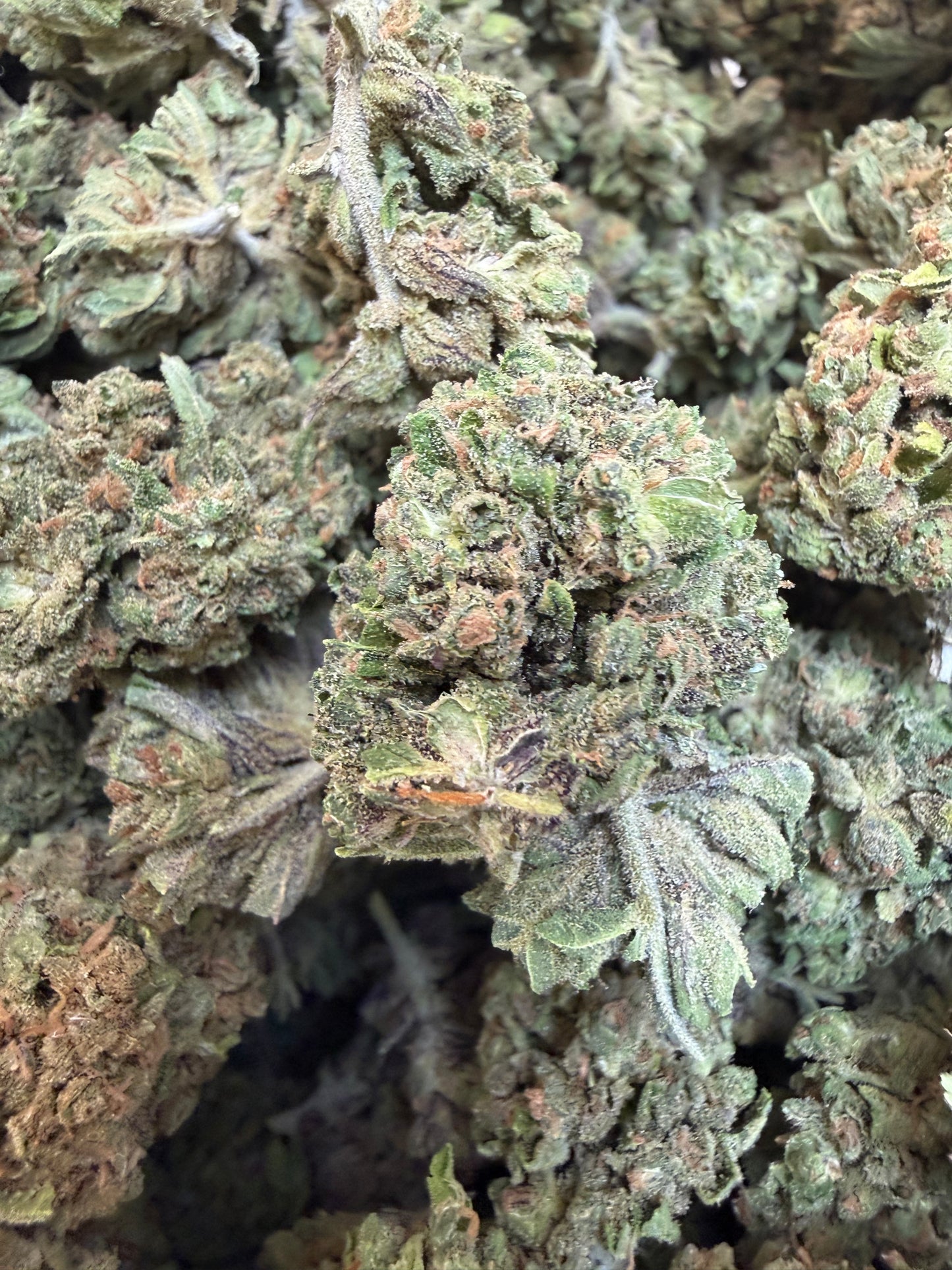 1 Pound - Gas Leak THCA Flower