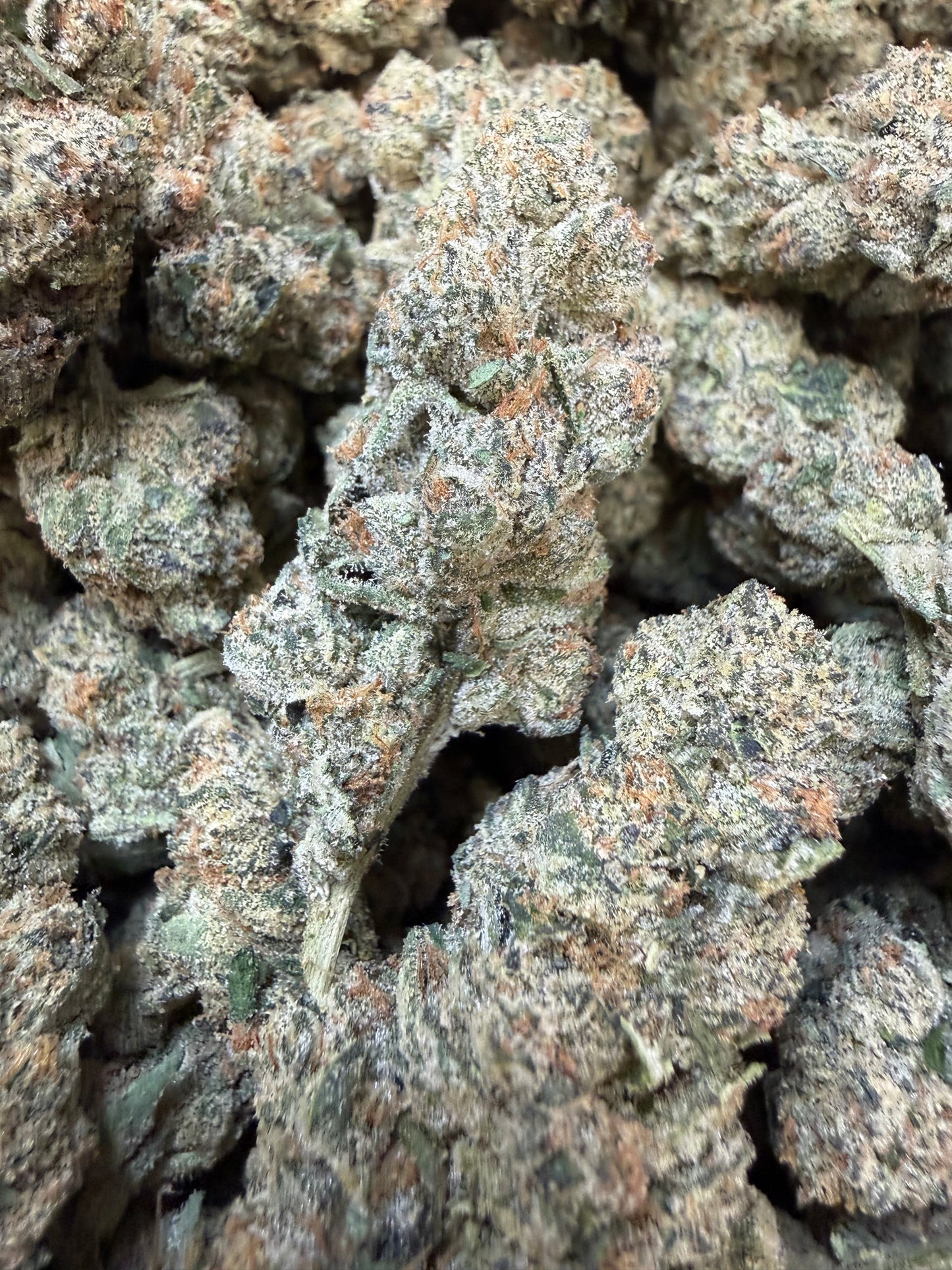 1 Pound - Cotton Candy Cookies THCA Flower