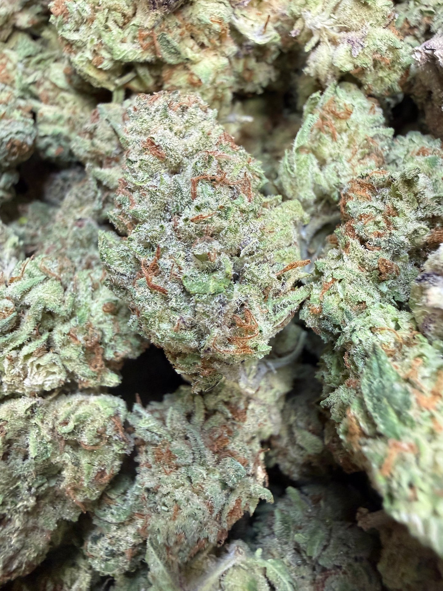 1 Pound - AK-49 THCA Flower