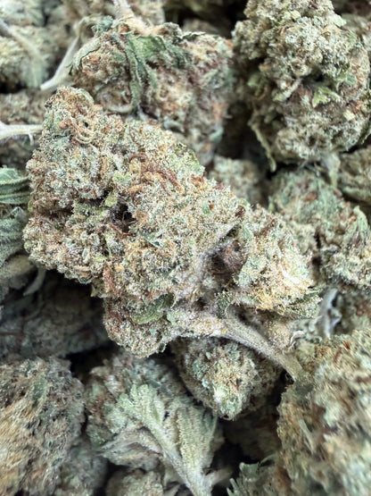 1 Pound - BISCOTTI PANCAKES THCA Flower (BIG)