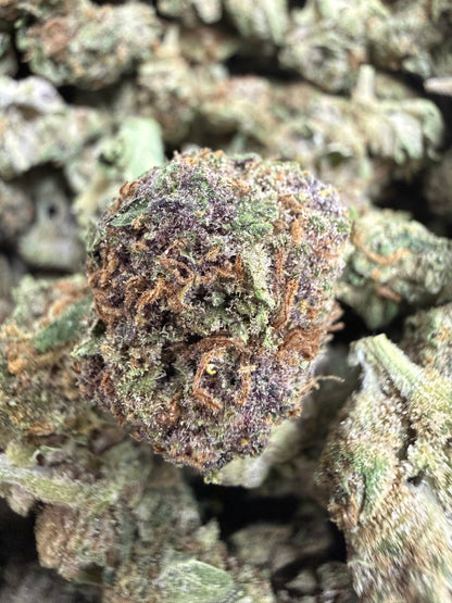 1 Pound - PURPLE SOUR BOMB THCA Flower (SMALL)