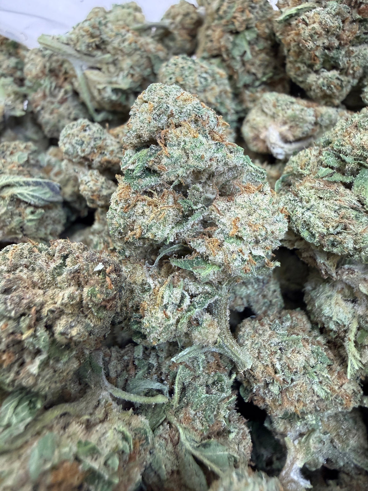 1 Pound - ILLEMONATI OG THCA Flower (BIG)