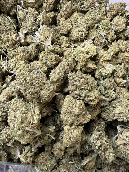 1/2 Pound - Blue Dream THCA Strain Frisco Labs