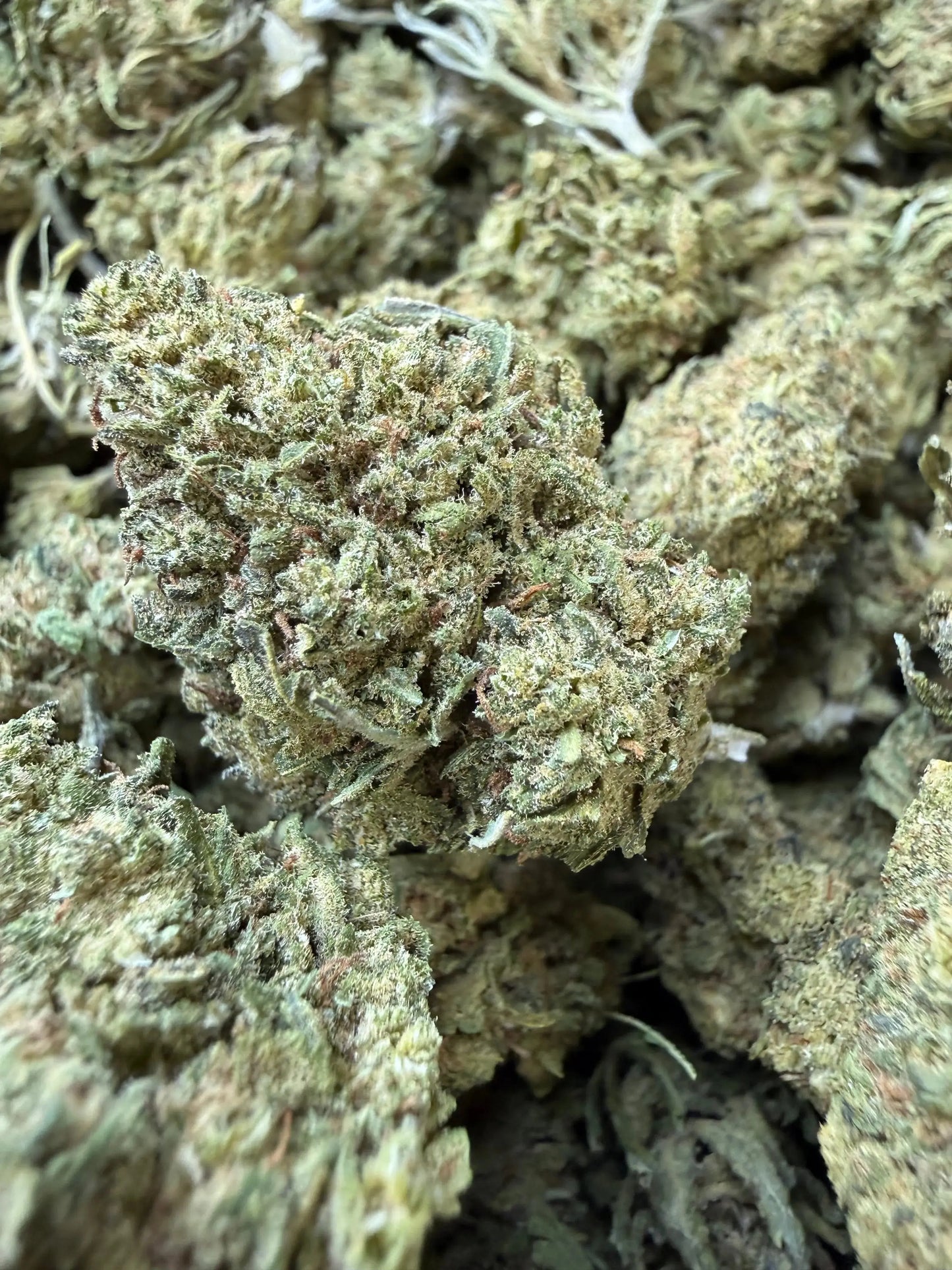 1/2 Pound - Blue Dream THCA Strain Frisco Labs