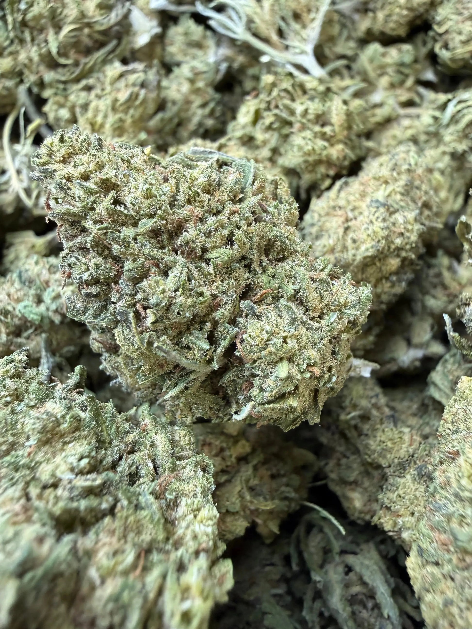 1/2 Pound - Blue Dream THCA Strain Frisco Labs