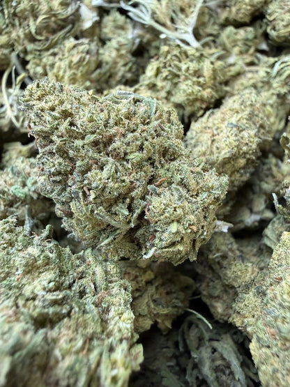 1/2 Pound - Blue Dream THCA Strain Frisco Labs