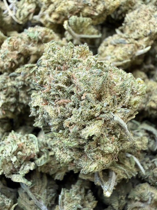 1/2 Pound - Blue Dream THCA Strain Frisco Labs
