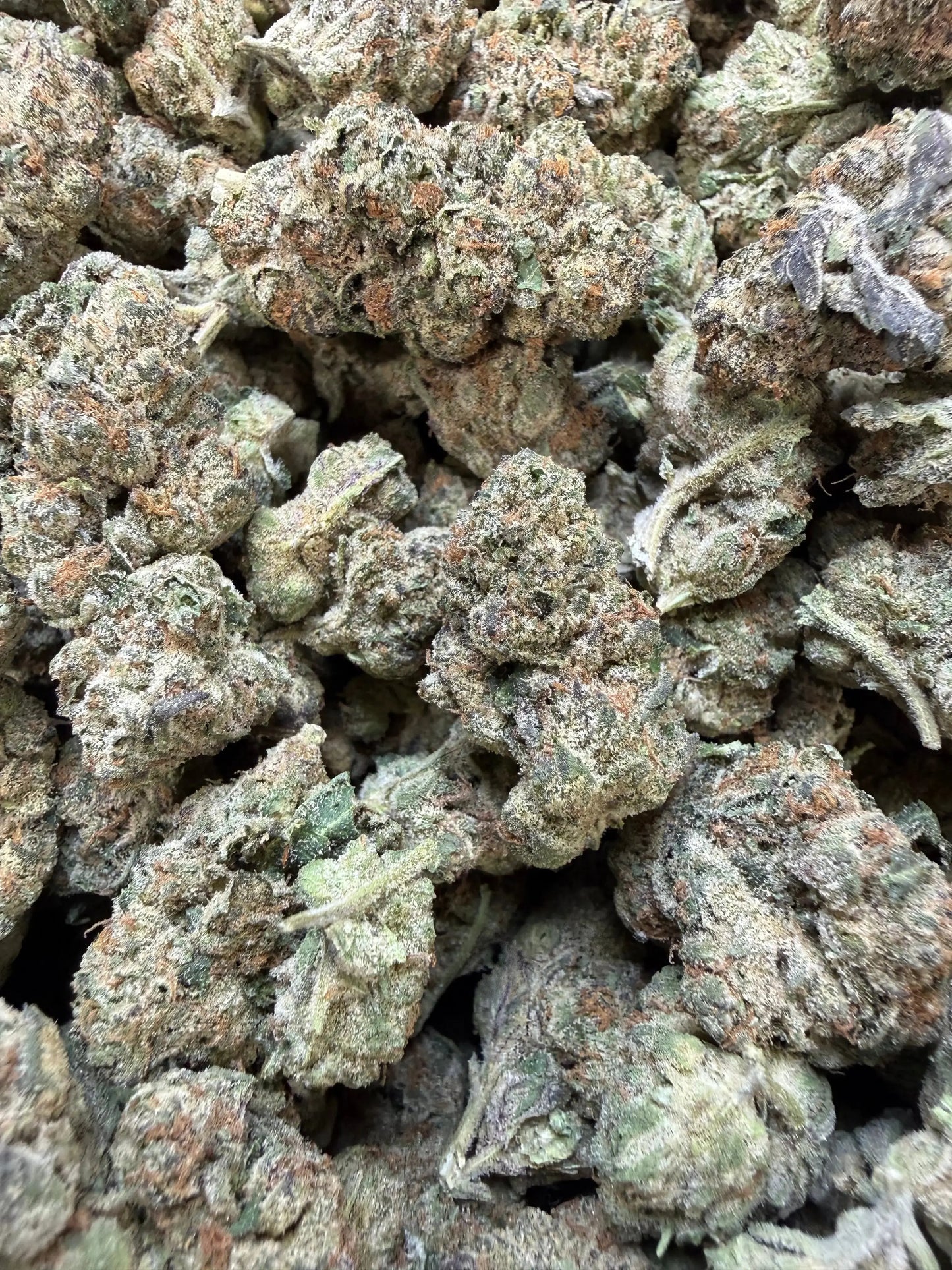 1/2 Pound - Electra Ice THCA Strain Frisco Labs