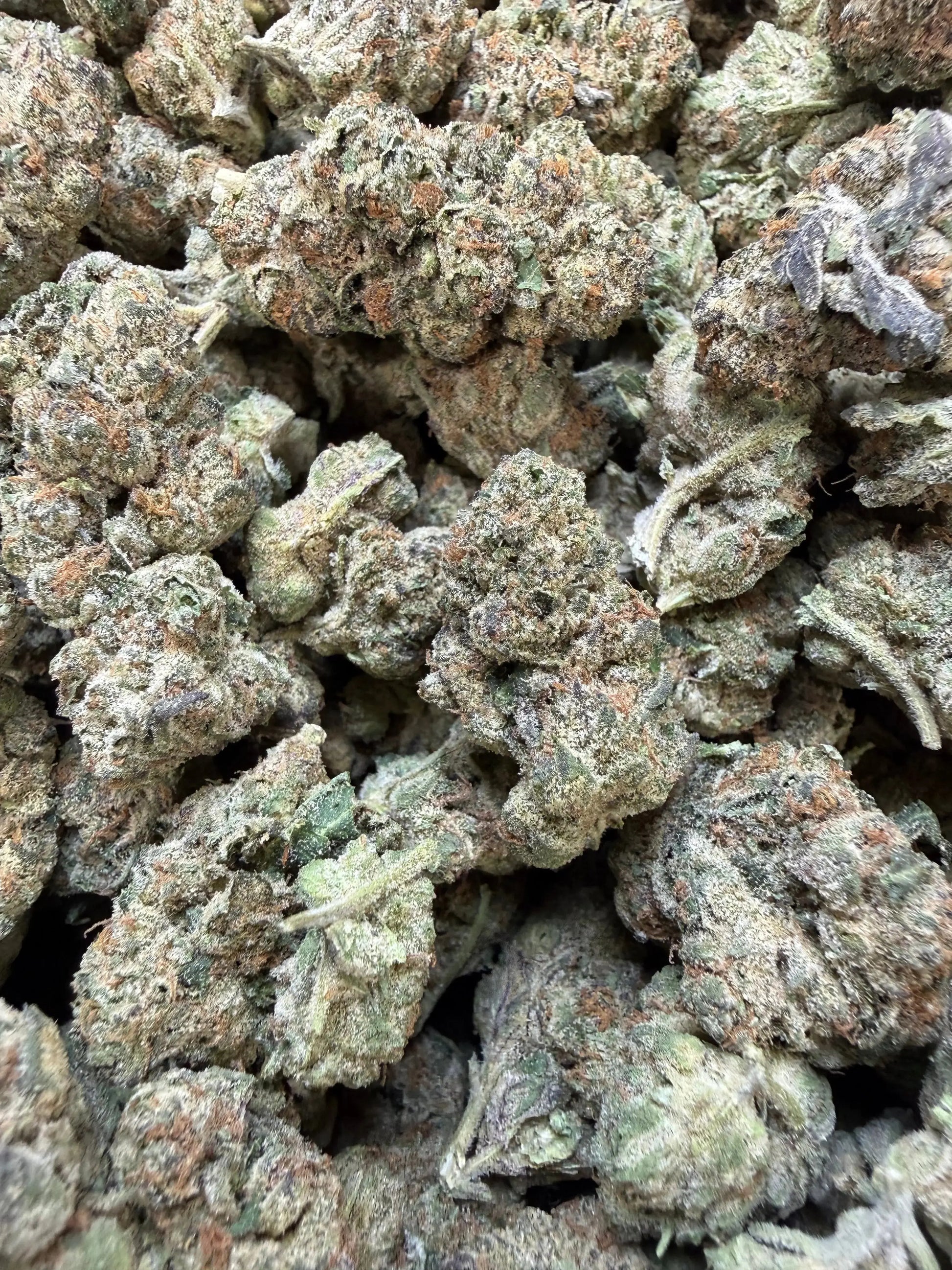 1/2 Pound - Electra Ice THCA Strain Frisco Labs