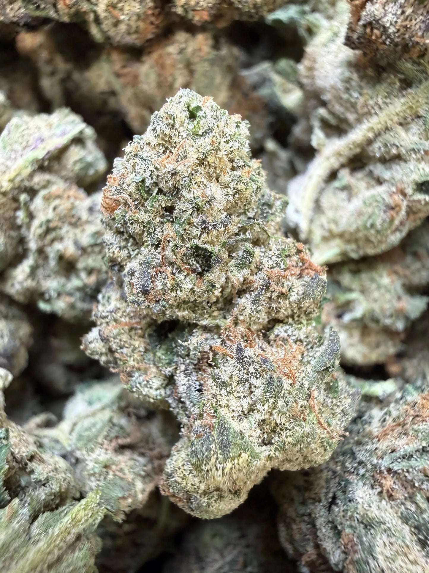 1/2 Pound - Electra Ice THCA Strain Frisco Labs
