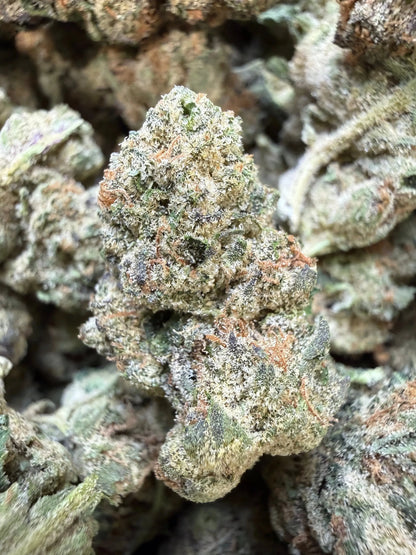 1/2 Pound - Electra Ice THCA Strain Frisco Labs