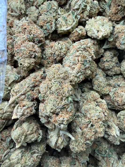 1 Pound - Gorilla Glue THCA Strain Frisco Labs