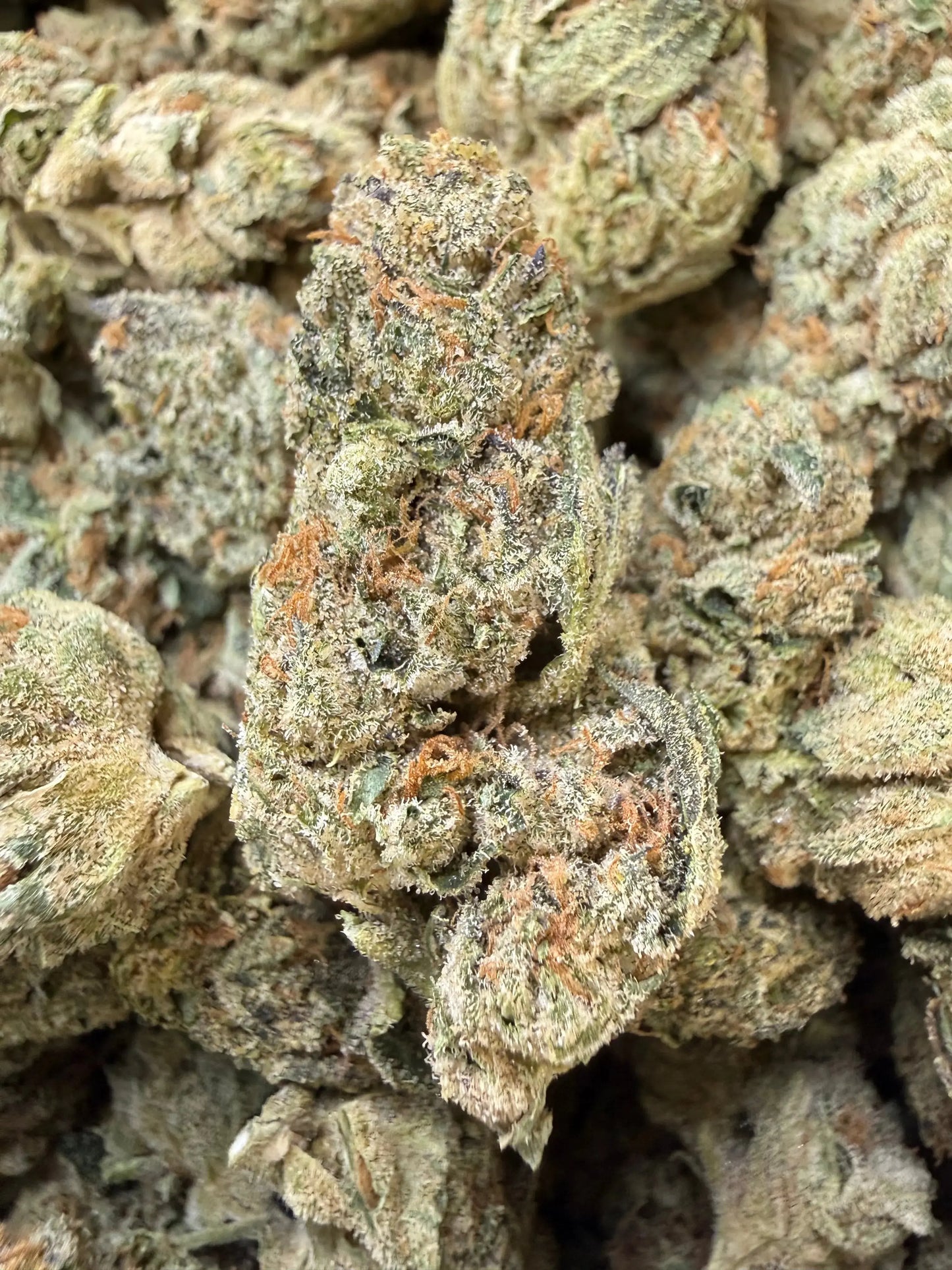 1/2 Pound - Ice Cream Pie THCA Strain Frisco Labs
