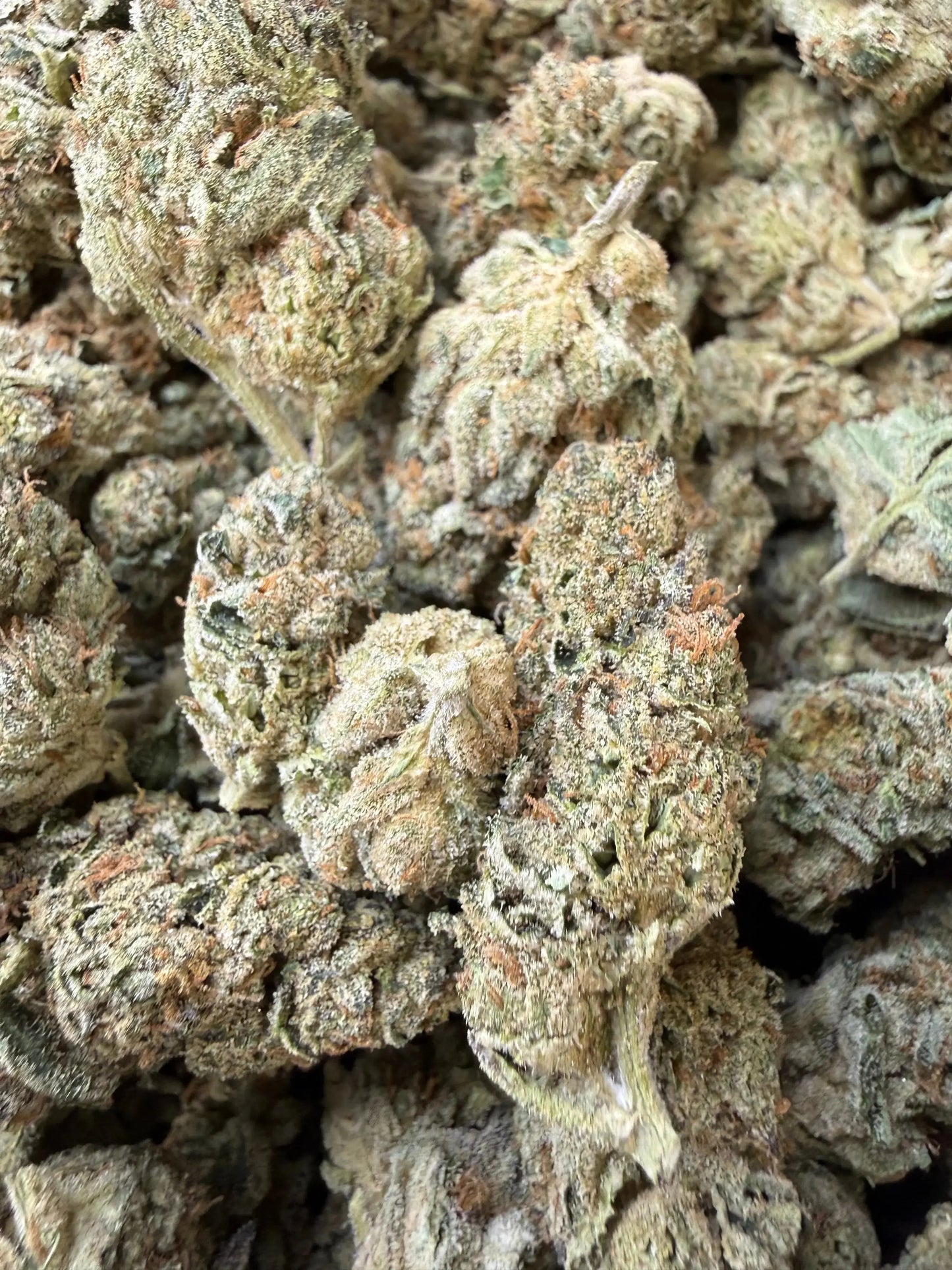 1/2 Pound - Ice Cream Pie THCA Strain Frisco Labs