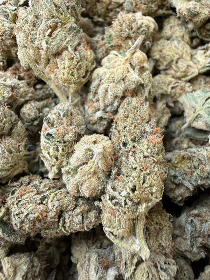 1/2 Pound - Ice Cream Pie THCA Strain Frisco Labs