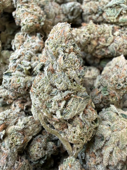 1/2 Pound - Ice Cream Pie THCA Strain Frisco Labs