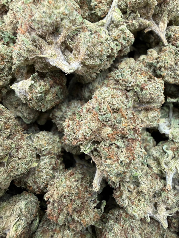 1 Pound - Permanent Marker THCA Strain