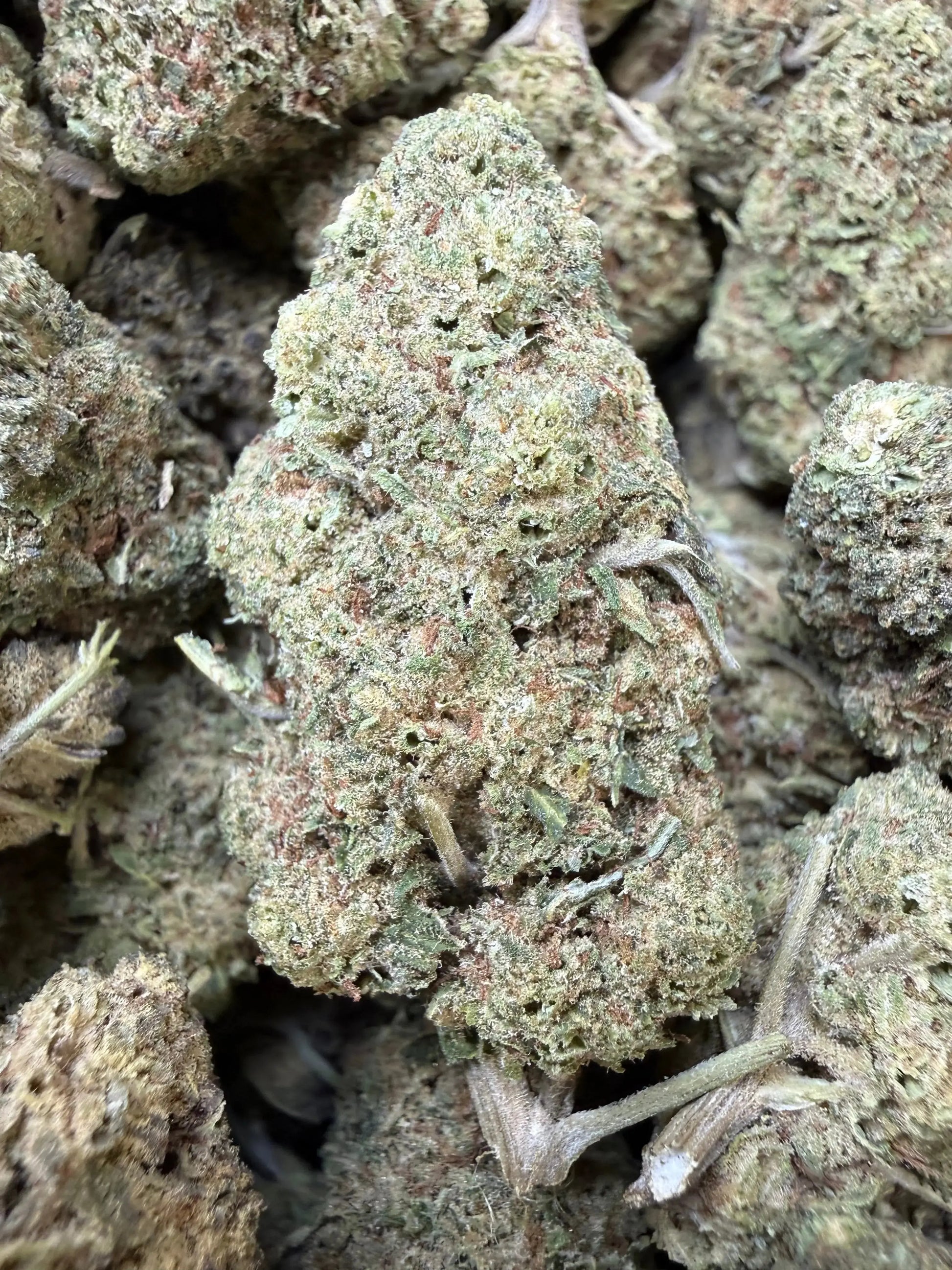 1/2 Pound - Punch Breath THCA Strain Frisco Labs