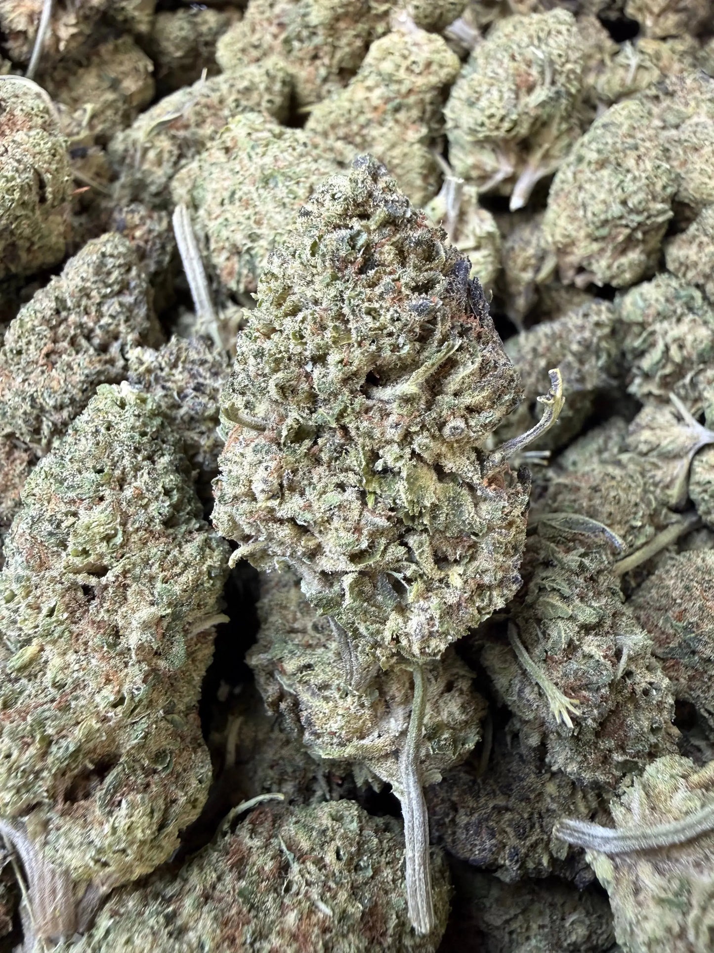 1/2 Pound - Punch Breath THCA Strain Frisco Labs