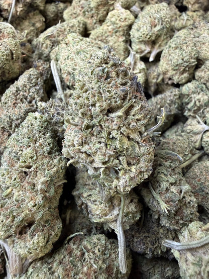 1/2 Pound - Punch Breath THCA Strain Frisco Labs