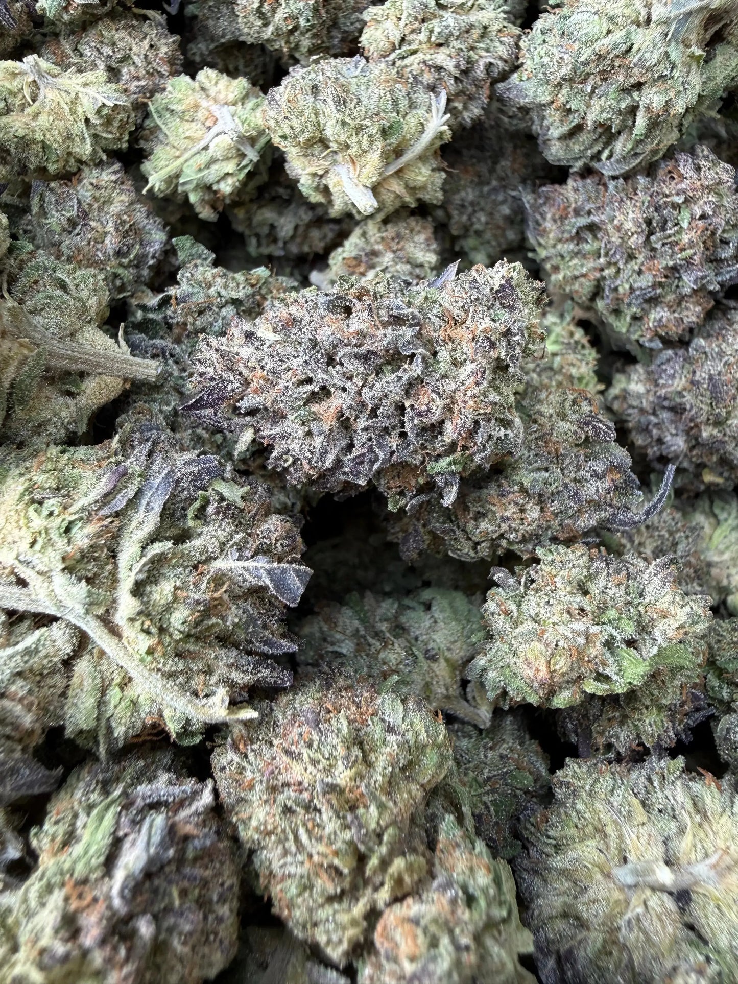 1/2 Pound - Purple Cream THCA Strain Frisco Labs