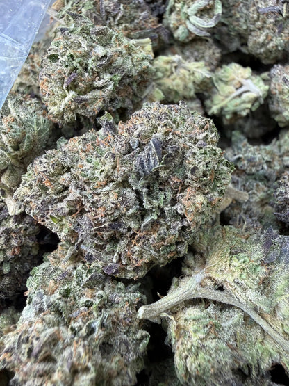 1/2 Pound - Purple Cream THCA Strain Frisco Labs