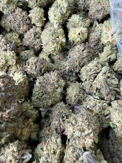 1/2 Pound - Purple Cream THCA Strain Frisco Labs