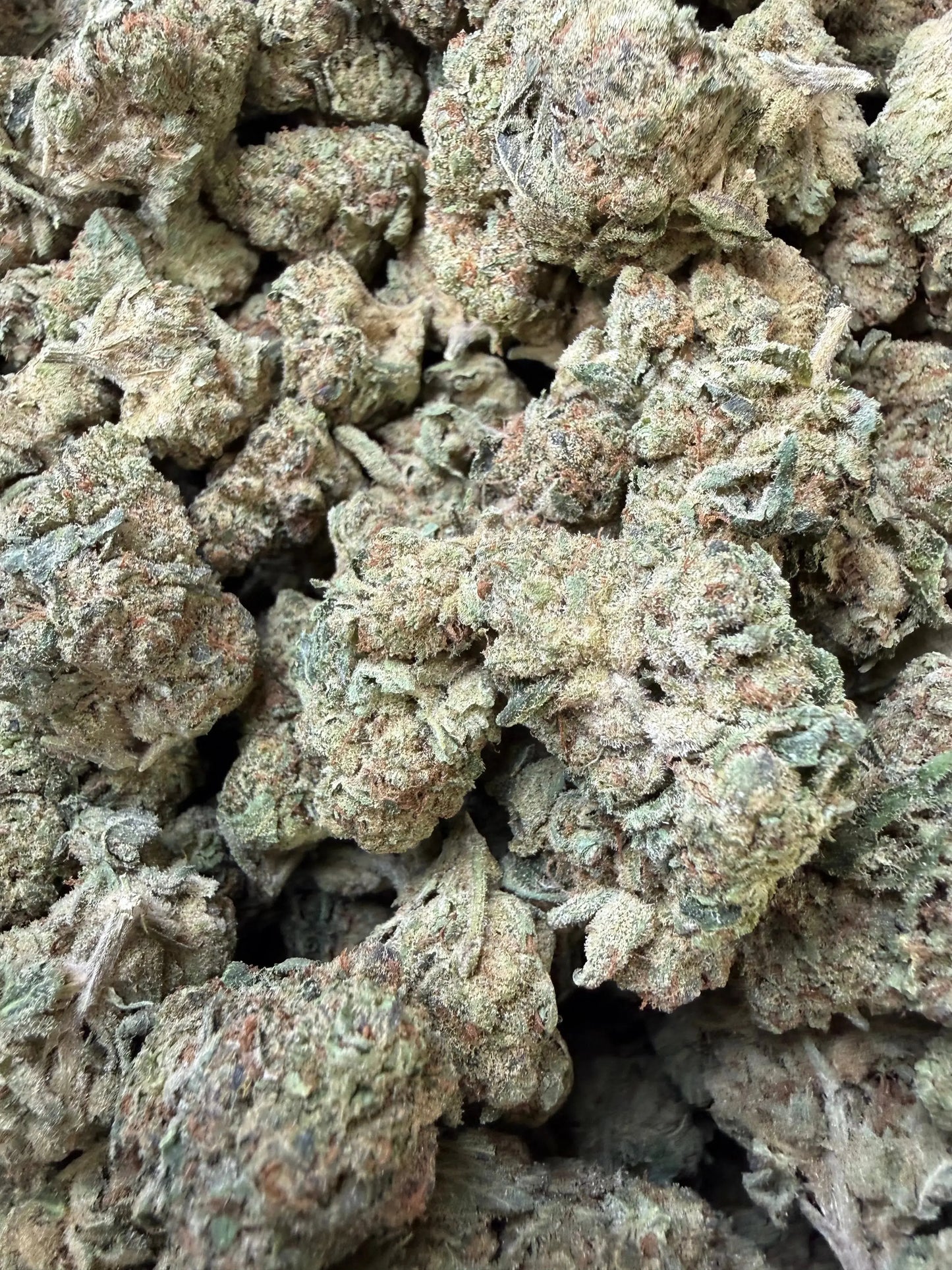 1/2 Pound - Space Rocks THCA Strain Frisco Labs