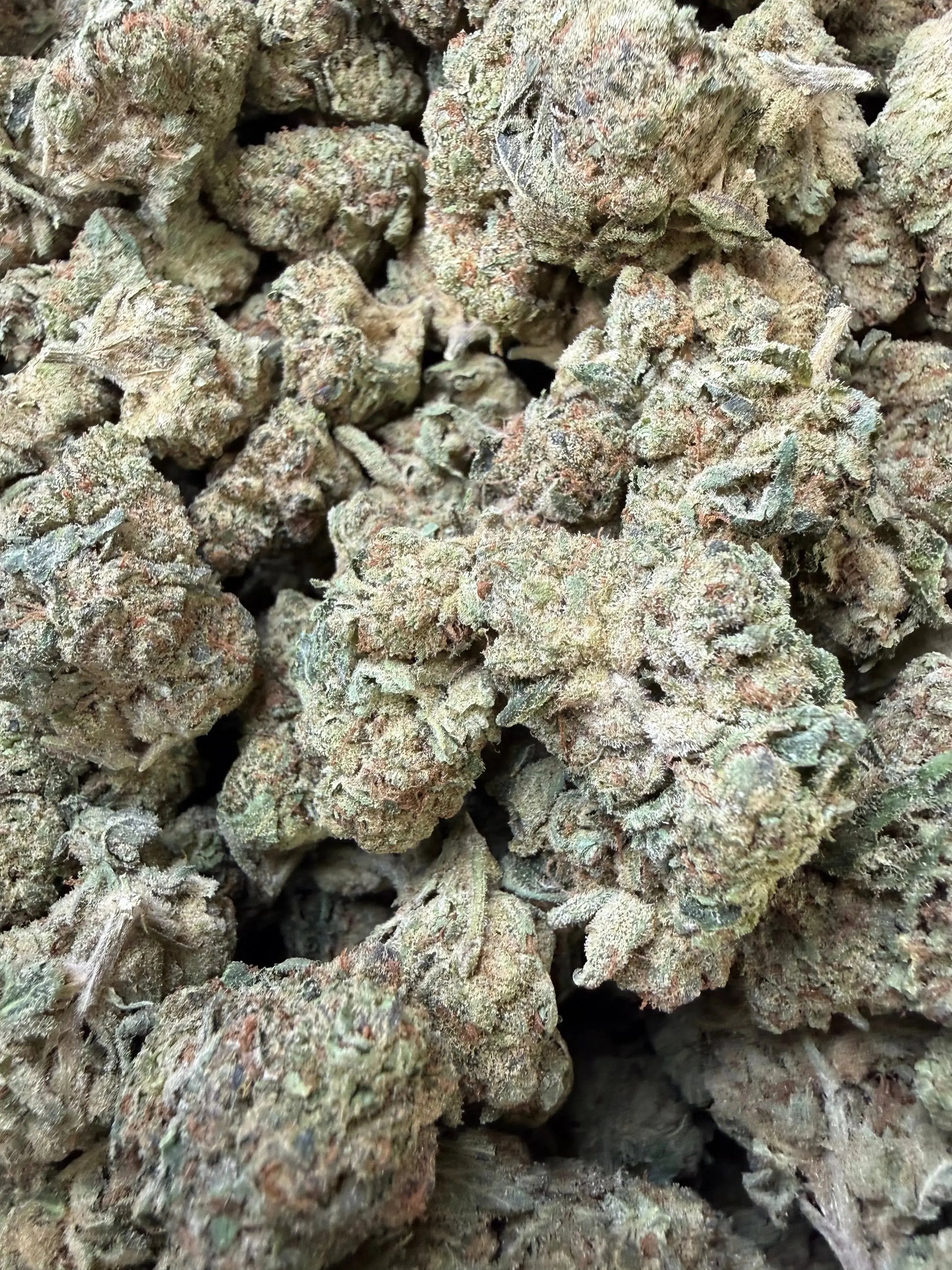 1/2 Pound - Space Rocks THCA Strain Frisco Labs