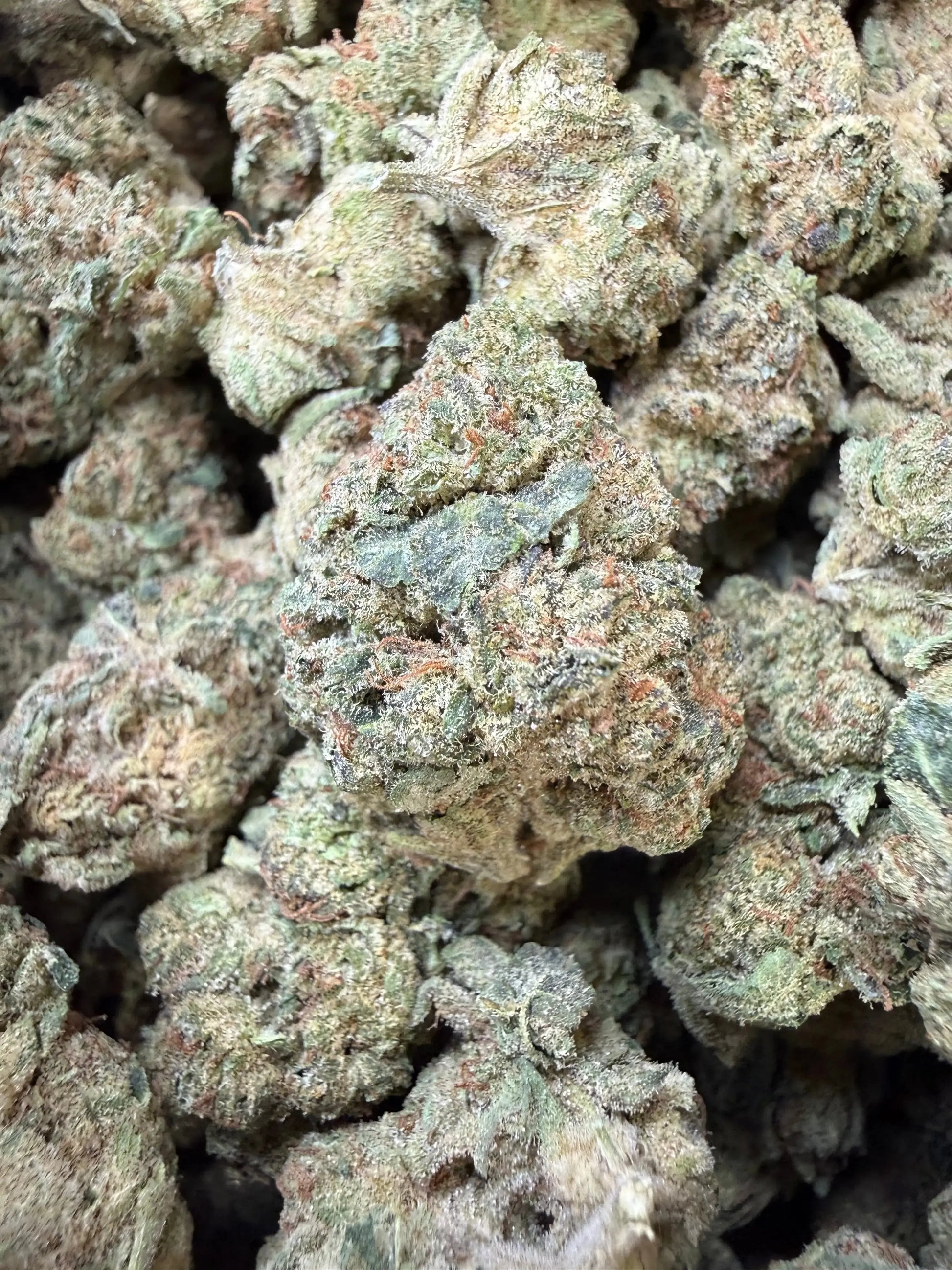 1/2 Pound - Space Rocks THCA Strain Frisco Labs