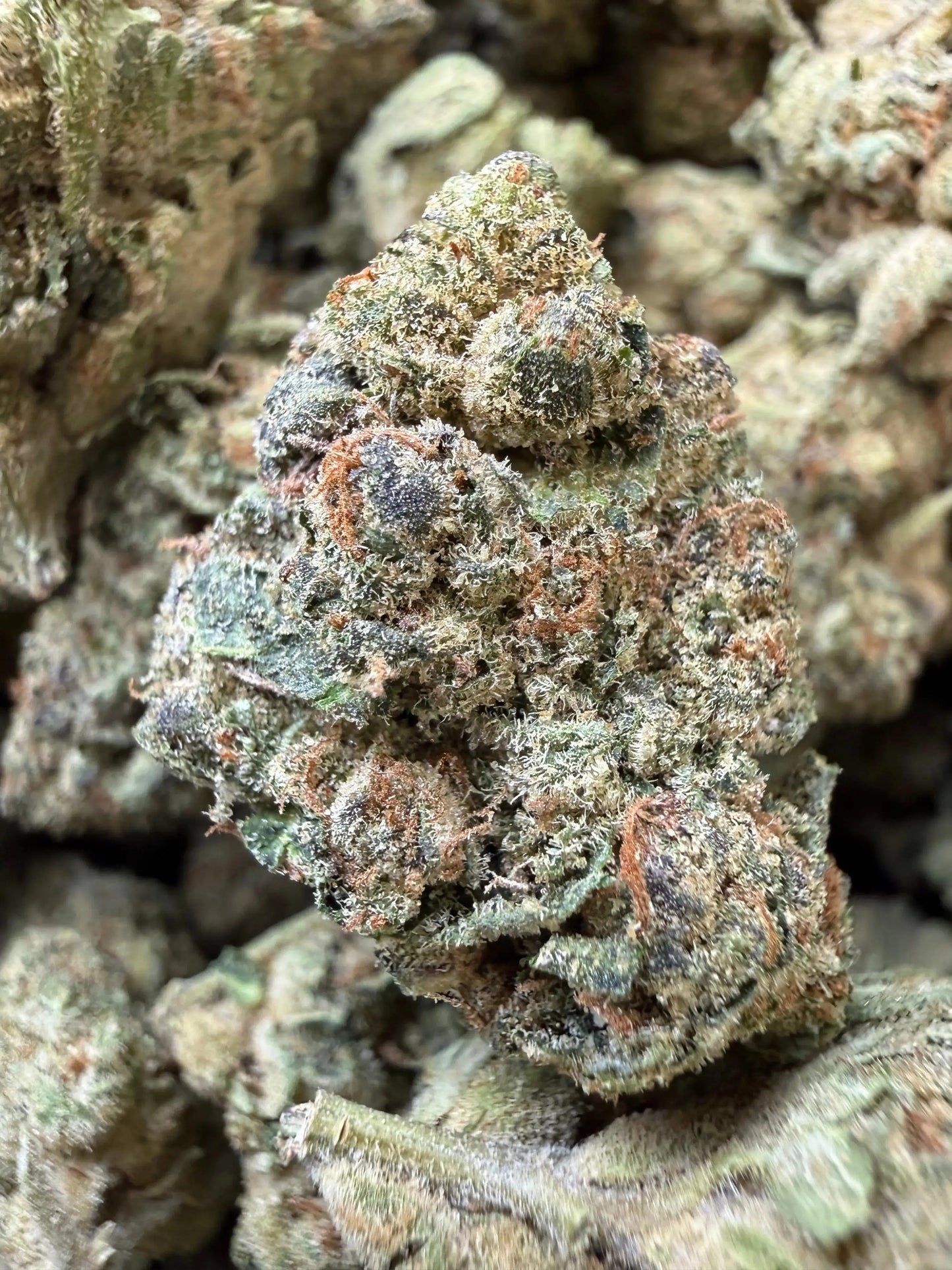1/2 Pound - Space Rocks THCA Strain Frisco Labs
