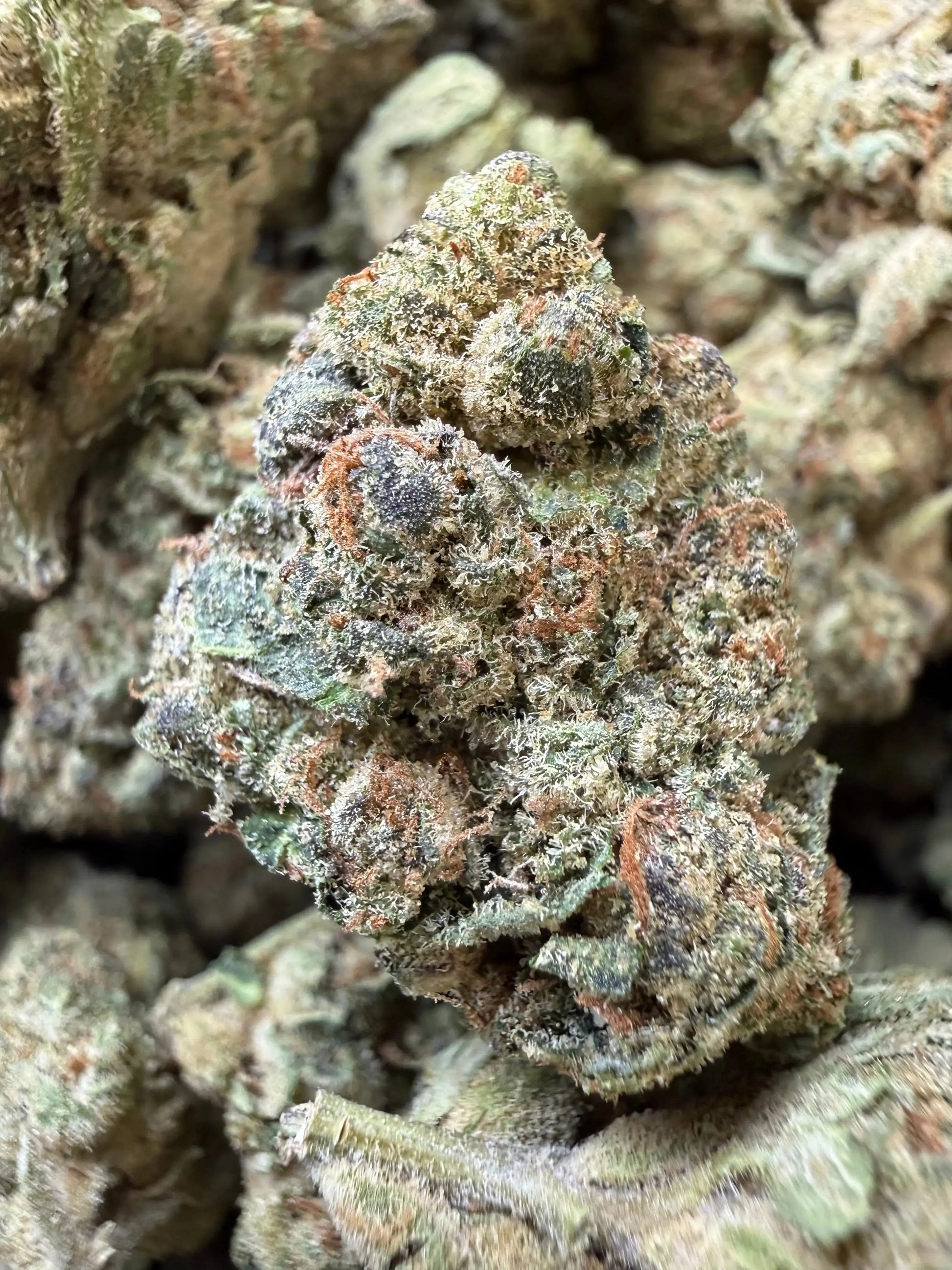 1/2 Pound - Space Rocks THCA Strain Frisco Labs