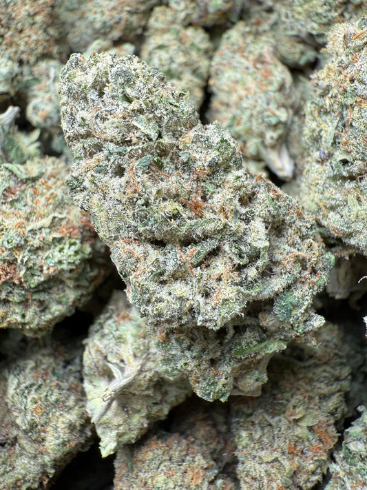 1 Pound - AAA Gelato #41 THCA FL Fulfillment Center