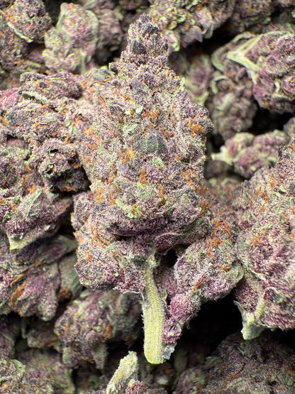 1 Pound - AAA Purple Tropicanna Cherries THCA Frisco Labs